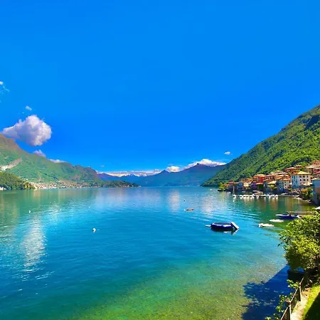 Infinity Luxury דירה *